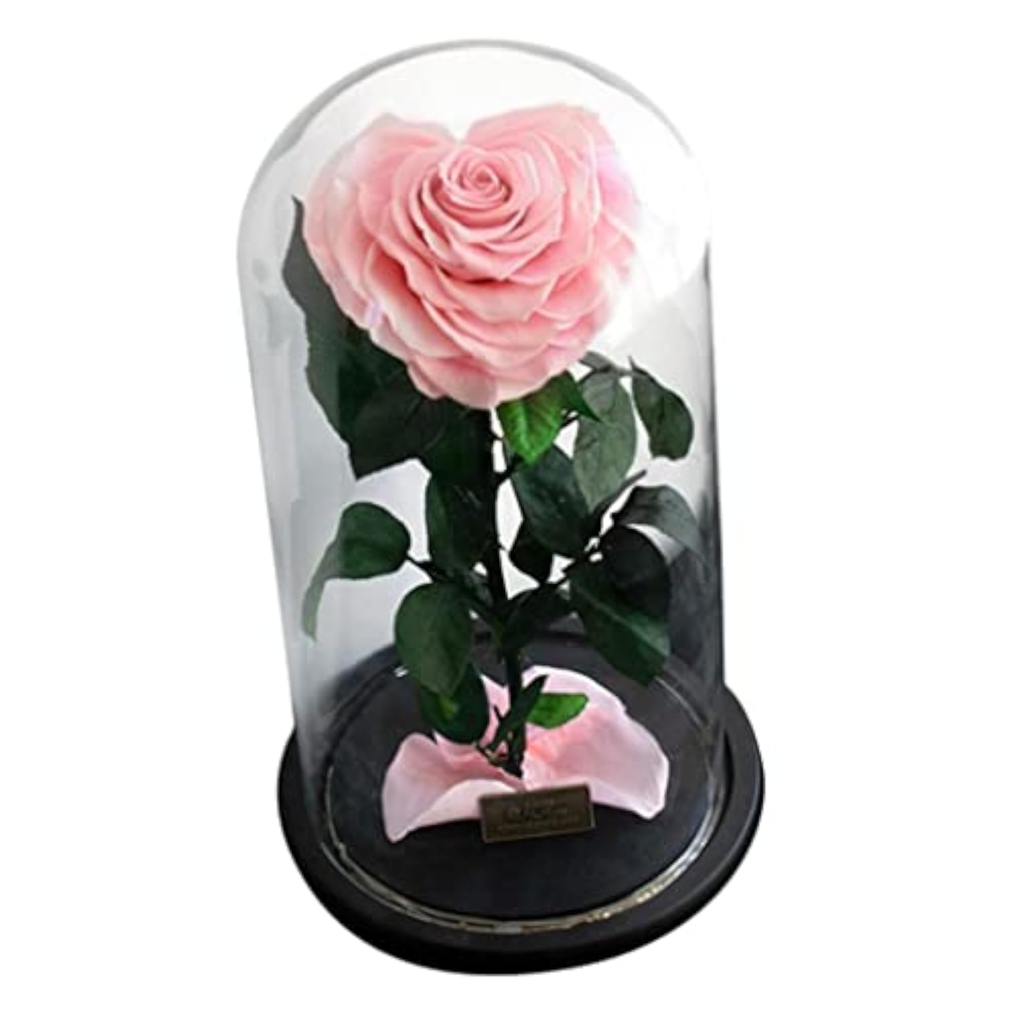 Heart-Shaped Rose Preserved Flowers with Gift Box