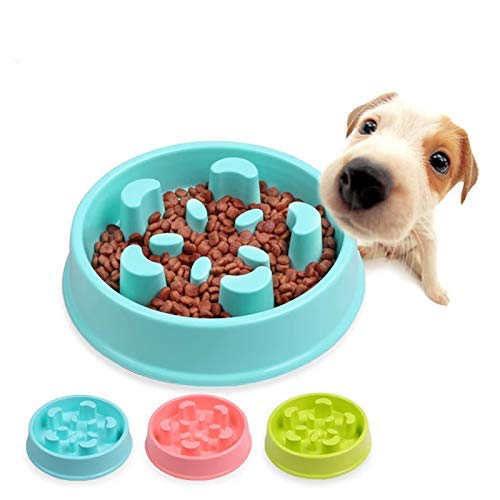 Petlicious & More Anti Choke Small Dogs & Puppies Food Slow Feeding Bowl Slow Feeder Dog Bowl Cat Slow Feeder Bowl (Color May Vary) - Flower Design (B07YYK4MMH) Amazon Price History, Amazon Price Tracker