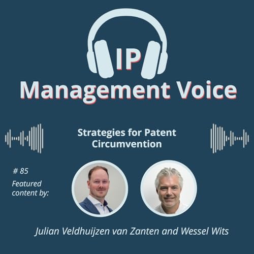 #85 Strategies for Patent Circumvention