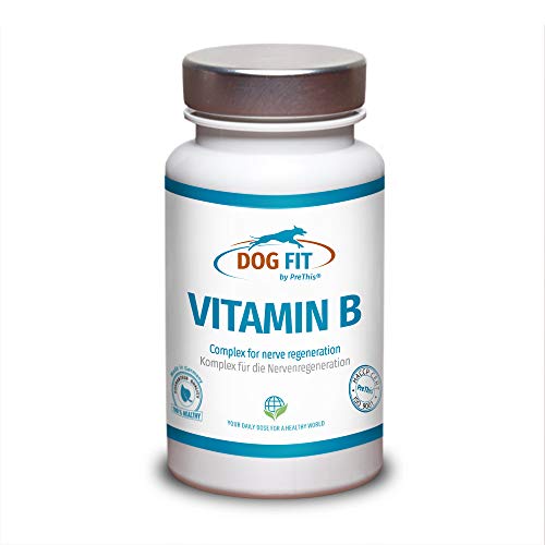 Vitamin B12 Hund Top 7 Modelle im Test!