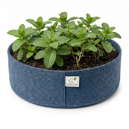 Image of 400 GSM Geo Fabric Round Grow Bags 18x6 Inch, Blue Planting Bags for Terrace and Kitchen Gardening Pack of 1