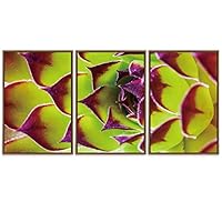 SIGNWIN Framed Canvas Wall Art Neon Green with Purple Tip Sempervivum Houseleek Botanical Succulent Photography Minimalism Modern Closeup Colorful for Living Room, Bedroom, Office - 16