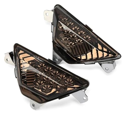 Feu arrière LED Ninja 250/300 : optique de rechange haute performance 13-16