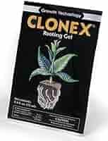 HYDROFARM クロネクス ルーティングジェル　100ml2個 Amazon.com : Clonex Rooting Gel 100 ml, 2 Pack : Patio, Lawn