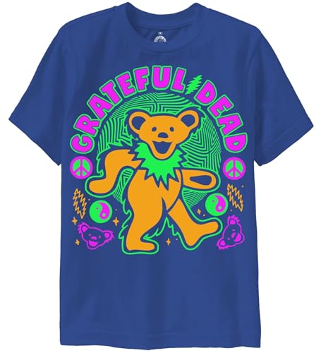 クッション・座布団 GD Lightning Bear Cushion grateful dead GD Lightning Bear Cushion grateful dead - メルカリ