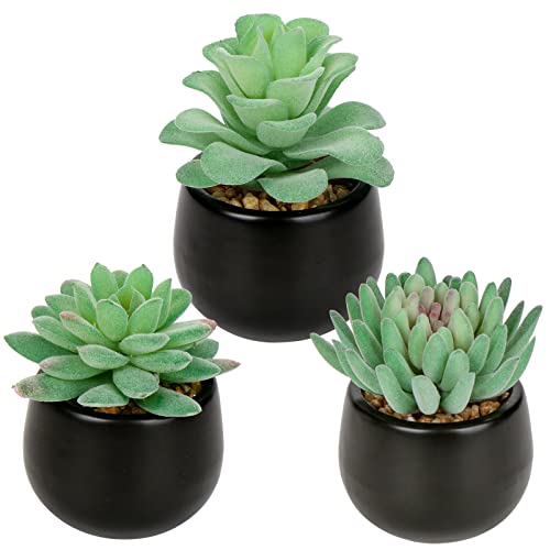 Briful 3PCS Artificial Succulents Fake Plants Mini Succulents Potted in Black Ceramic Pots Artificial Plastic Plants for Home Office Desk Farmhouse Bathroom Décor