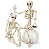 Halloween Skelett, 2-Pack 40cm Ganzkörper Mini Skelett mit beweglichen Posable Gelenken, Gruseliges Skelett für Yard Garten Rasen Haunted House Friedhof Requisiten Dekor, Halloween-Party-Dekorationen