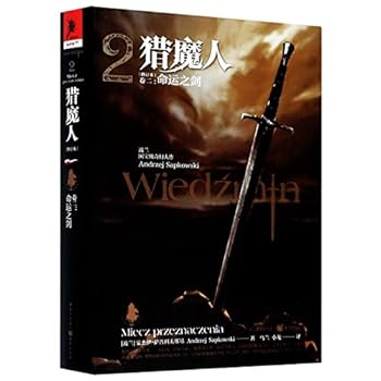 The Witcher 2 (Chinese Edition)