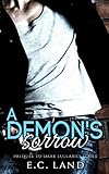 Cover zum Buch A Demon's Sorrow