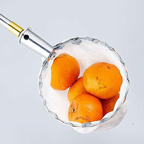 Cabezal recogedor de frutas con canasta de 16 cm miniatura 5