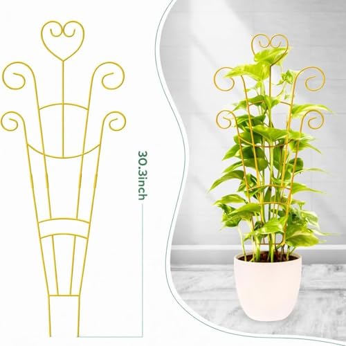 Enrejado de soporte de geranio para decorar balcones y terrazas con plantas de exterior 6