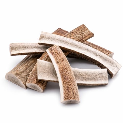 mascota vital - Hirschgeweih - 100% Hirschgeweih - Ideal für die Zahnpflege - 100% Natürlich - Geweih - Kauknochen - Hundespielzeug - Geweih vom Rothirsch (halbiert M (50-80g))