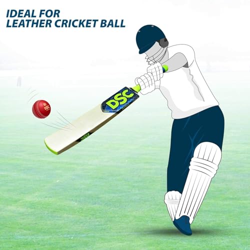 Image of DSC Condor Flicker Kashmir Willow Cricket Bat Size 1