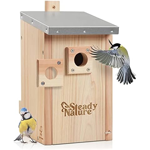 Steady Nature Meisen Nistkasten für Kohlmeisen und Blaumeisen - Meisenkasten, Nistkasten Meisen - Nistkästen für Meisen nach NABU - Vogelhaus Nistkasten - Nistkasten für Vögel für draußen Cover