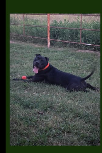  Happy Pit Bull Journal: Joy in Every Wag: A 120-Page Lined Notebook for Dog Lovers — Featuring a Smiling Pit Bull with a Red Ball in a Rustic Yard