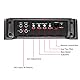RECOIL RED1200-1 2500 Watt Class-D Car-Audio-Monoblock-Subwoofer-Verstärker, 1 Ohm stabil, Remote-Bass-Regler enthalten