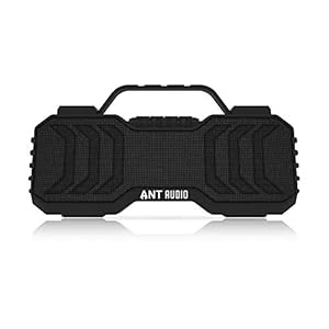 ANT AUDIO Treble X 950 6 Watt Truly Wireless Bluetooth Portable Speaker (Black)