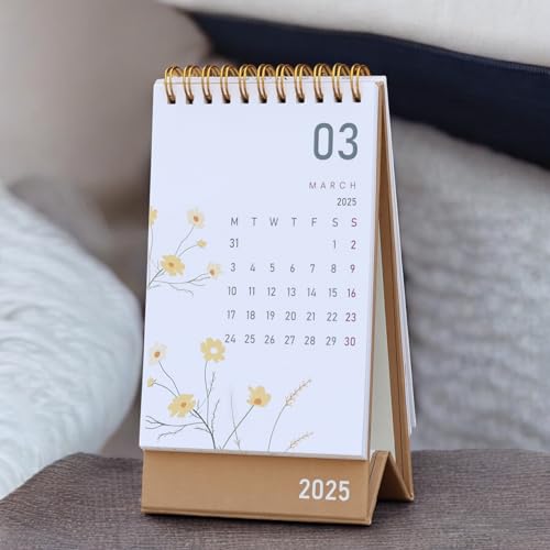 2025 Desk Calendar - Standing Flip 2025 Desktop Calendar with Thick Paper Size : 6 x 4 inch for Office,School,Family (multicolor) 6 41GzdpgCzaL