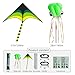 2P Kites,Large Green Kite and Mollusc Octopus with Long Tail, Big Kite for Beginners Outdoor Game,Beach Trip Great Gift to Kids Childhood Precious Memories (Kites-Green)