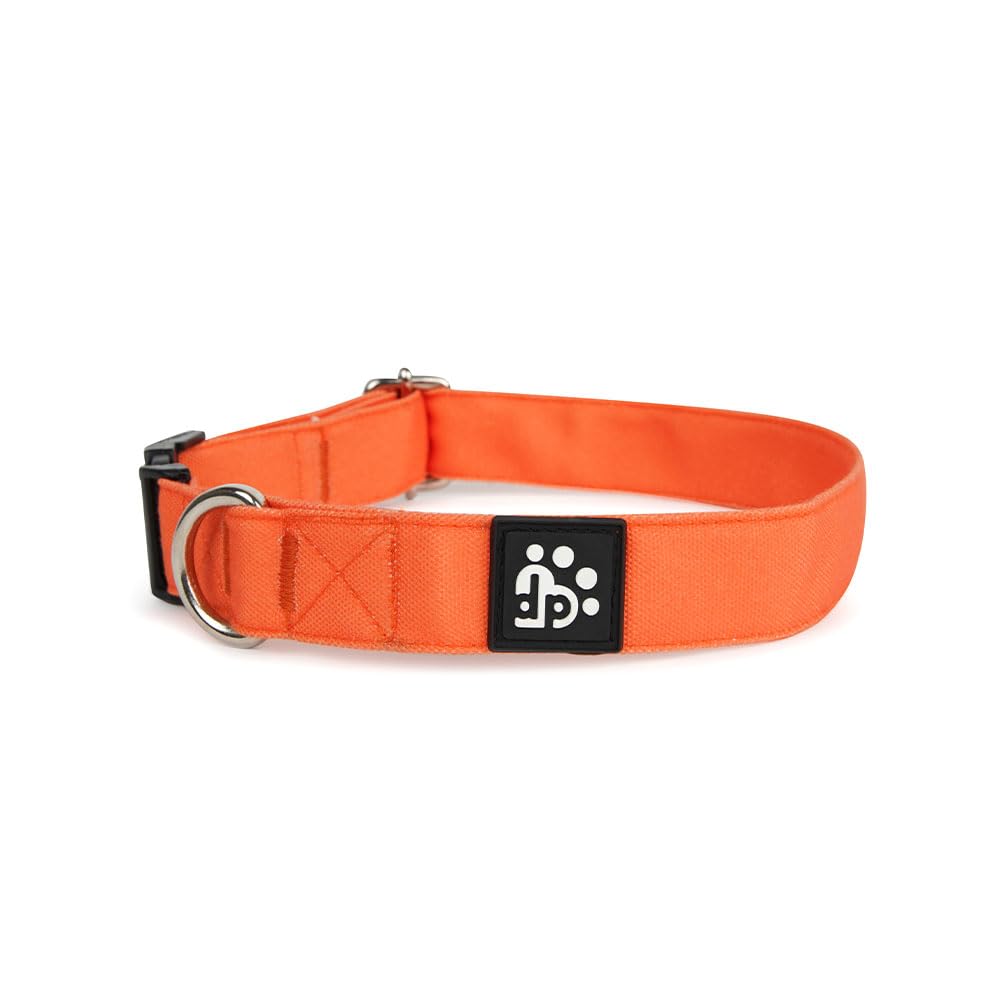 Dear Pet Classic Orange Dog Collar for Small, Medium and Large Dogs (Suitable for All Breeds and All Life Stages) (Small) (B09KC3V1QX) Amazon Price History, Amazon Price Tracker