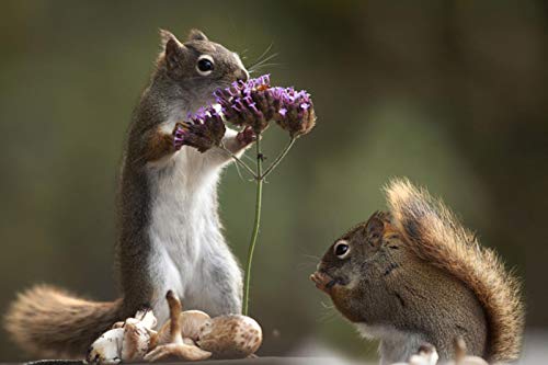 Jigsaw Puzzle 1000 Piece For Adults Puzzle 3D Wooden Classic Puzzle Pine Tree And Flowers Wall Art Modern Home Decor Festival Gift Intellectual Game