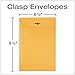 Quality Park Clasp Envelopes, 6.5 x 9.5 Inch Brown Kraft Catalog Envelopes, for Mailing Small Business Papers, Gummed Closure, Box of 100 (QUA37863)