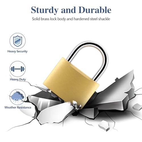Image of BRAXE 4 Pcs Keyed Padlock with 6 Same Keys Waterproof Small Solid Brass Lock 1.18inch 30mm for Gym Locker Case Backpack Luggage Hasp Storage Sheds Fence Toolbox