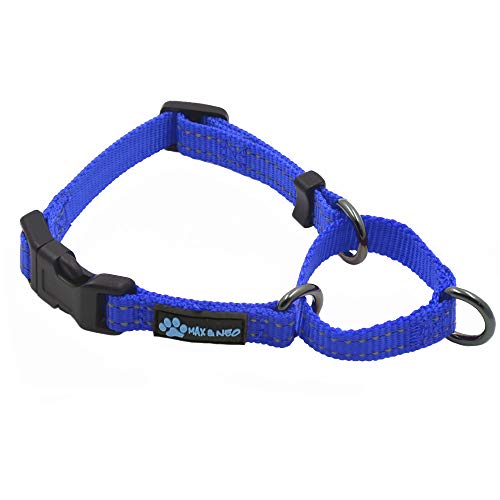 Max and Neo Nylon Martingale Col