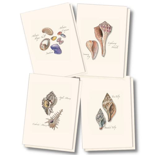 Earth Sky + Water - Seashell Assortment Notecard Set -