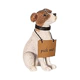 Kurt S. Adler Kurt Adler 26 cm Fabriché Adopt-a-Pet Dog, 2-częściowy zestaw Świętego Mikołaja, multi