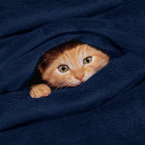 Utopia Bedding Fleece Blankets Bundle Pack Of Navy Queen And Twin Size Bed Blankets #TOP25