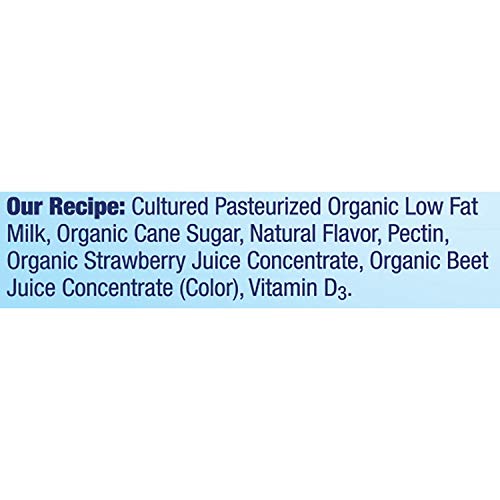 Stonyfield Organic Probiotic Strawberry Lowfat Yogurt Protein Smoothie 10 Fl. Oz. Bottle #TOP2