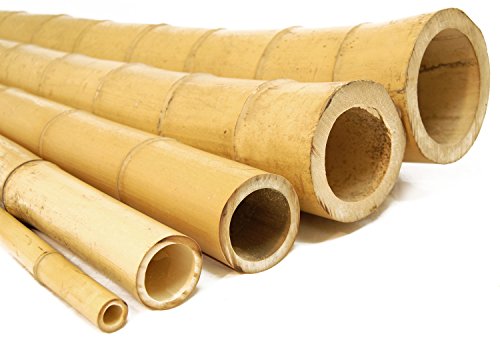 Backyard X-scapes Natural Bamboo Poles 2in x 8ft (10Pieces) - Thumbnail 5