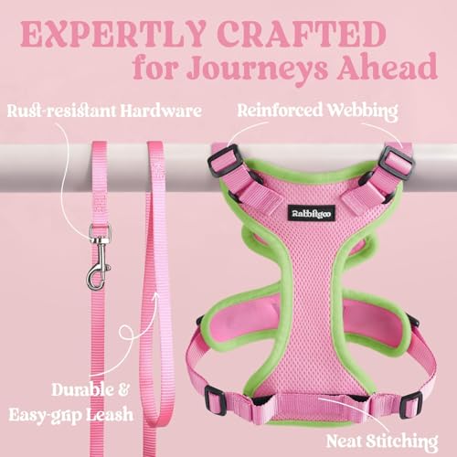 Image of rabbitgoo Cat Harness and Leash Set, Escape Proof Vest, Pink & Light Green