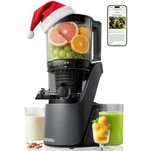 Canoly Juicer Machines, 150 MM Large Feed Chute Cold Press Masticating Juicer, 3-IN-1 Strainers (Juice & Sorbet & Nut Milk), Powerful AC Brushless Motor, Self Precut System, BPA Free, Space Gray