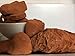 India Clay Red Clay 200 Grams