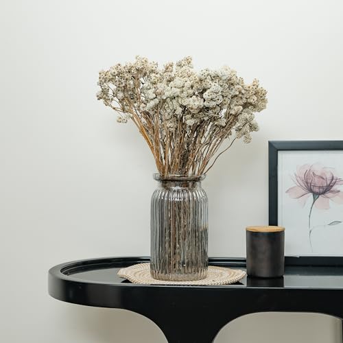 Image of Himalayan Daisy Dried Flowers | Natural Dried Blooms| 70 Grams | Naturally Preserved, Delicate & Everlasting | Perfect for Home Decor, Floral Arrangements, Bouquets & DIY Crafts(White)