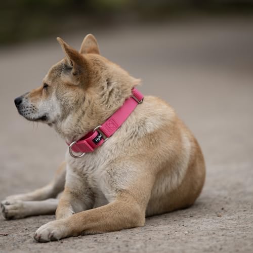 Hyhug Verbessertes Design Nylon-Gurtband, Waschen mit kaltem Wasser verblasst Nicht, verschmutzt Hundehaare Nicht, verschleißfest und Nicht anfällig für Fusseln. Rutschfestes Martingalhalsband für