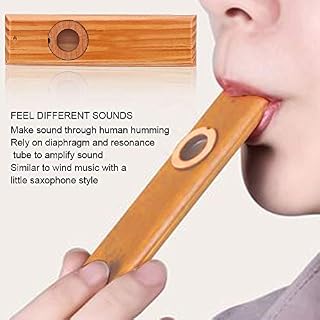 Kazoo en bois, flûte d’accompagnement unique corne sonore élégante flûte Kazoo, avec boîte-cadeau pour débutants… - Les Beatles, Paul McCartney, John Lennon, RIngo Starr, George Harrison Kazoo en bois, flûte d'accompagnement unique corne sonore élégante flûte Kazoo, avec boîte-cadeau pour débutants… – Image 5