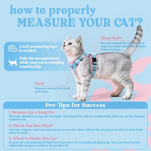 Image of rabbitgoo Cat Harness and Leash Set, Escape Proof Vest, Light Blue & Pink | Soft Breathable Mesh, Easy Adjustable Fit, Snap Buckles, Sturdy Clip, Reflective Strips, for Average Cats Walks, S