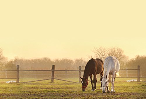 Wendy - Die Original TV-Serie/Box 2