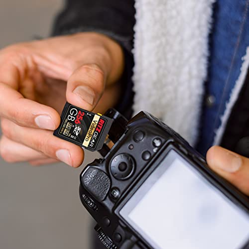 Ritz Gear 256Gb High-Speed Sdxc Uhs-Ii Sd Card, C10, U3, V90, Full-Hd & 8K Memory Card For Dslr, Cinema-Quality Video Cameras (2 Pack) #TOP1