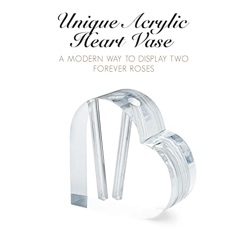 Image of Forever Rose Two Real Roses Dipped in Platinum, Acrylic Heart Vase