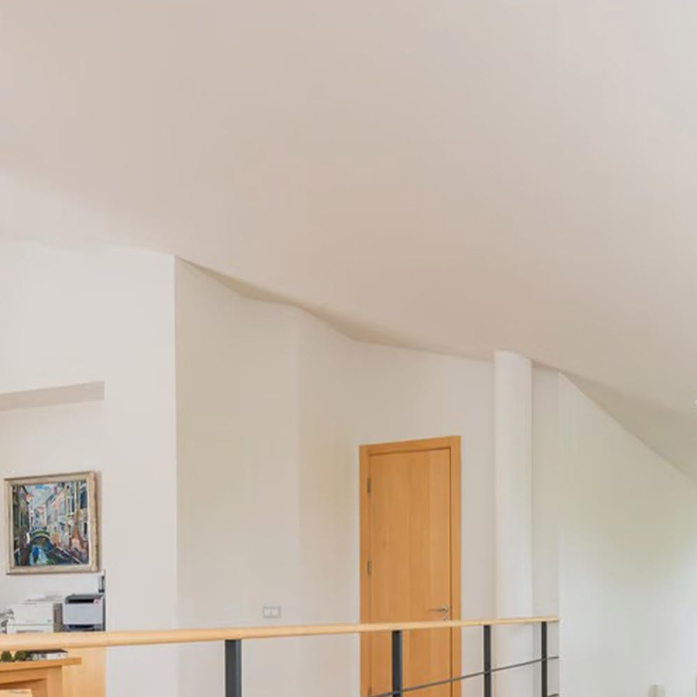 Sopgal Pintura anticondensación Natur AG+ con iones de plata Blanca 15L