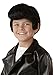 Fun Costumes unisex-child Child Grease Danny Wig Standard