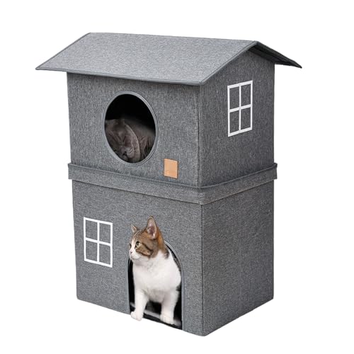 Maison pour chat grand format avec lits superposés d'intérieur