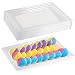 Elegant Disposable Plastic Serving Trays – Heavyweight Fancy 9”x13” Rectangular Clear Serving Platters - Reusable Party Appetizer Platter Set For Wedding, Thanksgiving, Birthday & Other Occasions