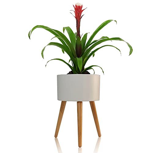 Pot auto-arrosant Kirin - C bac à fleurs intérieur extérieur - 4