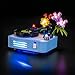 BRICKSHINING LED Lighting Compatible with Lego Record Player with Flowers 31172 - JUST Lights, Light Kit Compatible with Lego 31172, NOT Included The Model Set