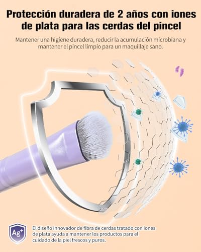 EIGSHOW Pincel De Sombras Con Iones De Plata – Pincel Corrector Profesional – Pincel De Maquillaje Para Ojos De Alta Gama Para Difuminar, Aplicar, Sombrear Y Corregir (E831P) - imagen 2